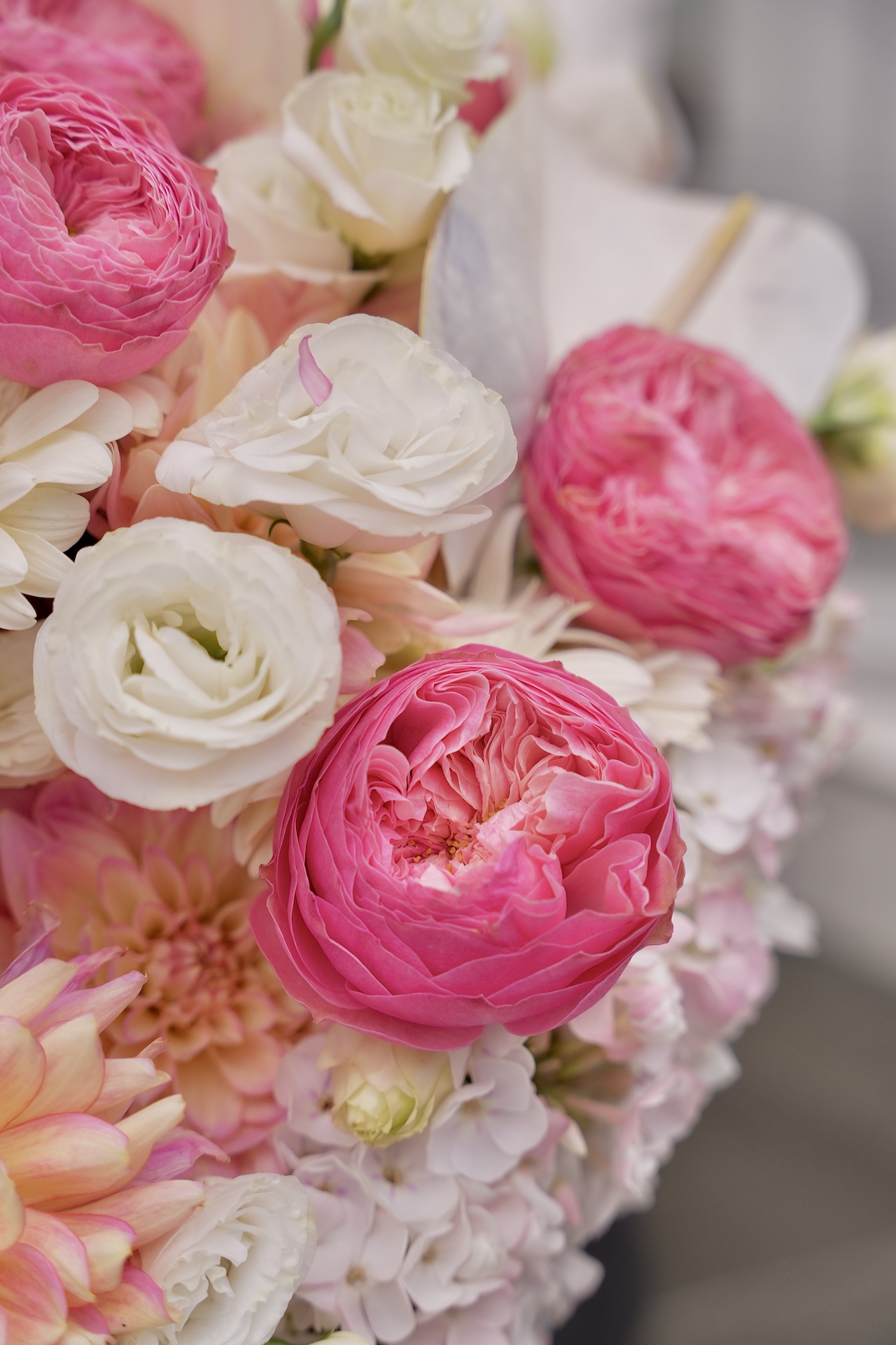 Image Slider